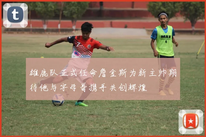 雄鹿队正式任命詹金斯为新主帅期待他与字母哥携手共创辉煌