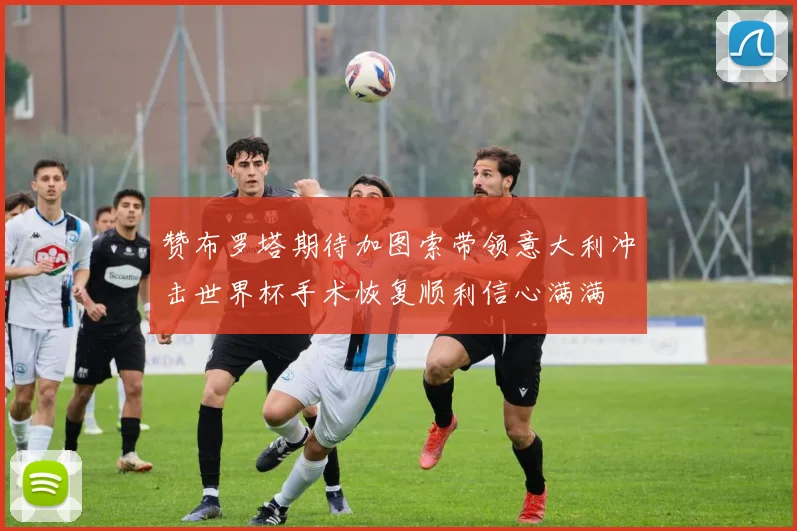 赞布罗塔期待加图索带领意大利冲击世界杯手术恢复顺利信心满满