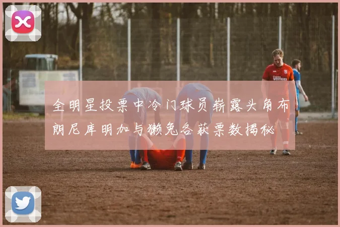 全明星投票中冷门球员崭露头角布朗尼库明加与獭兔各获票数揭秘